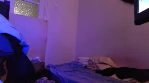 Ninjadance online show from 11, 3, 2026