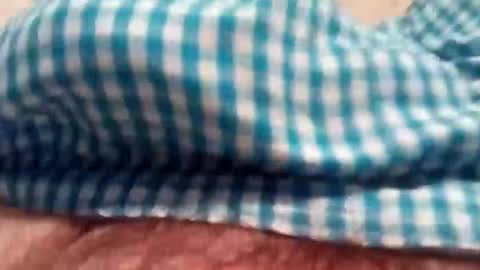 nipbulge online show from 5, 12, 2025