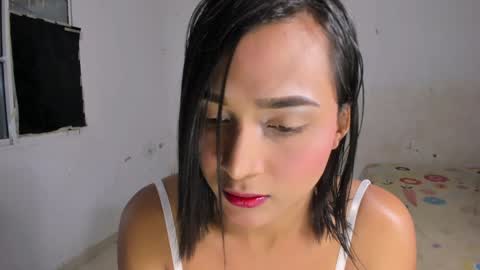 Noah online show from 17, 12, 2024