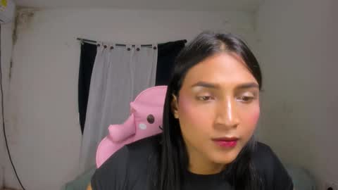 Noah online show from 8, 10, 2025