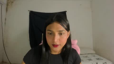 Noah online show from 28, 10, 2025