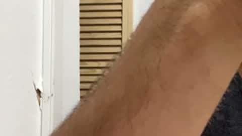 Noah online show from 30, 3, 2026