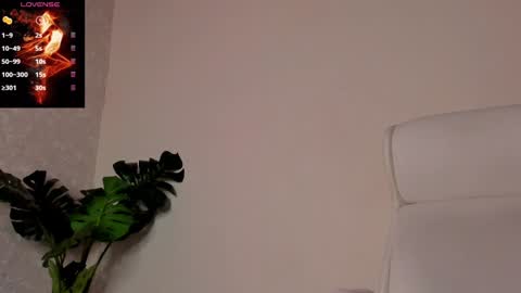 Snapshot of noahcrux chatting on 30, 12, 2024 Noah online show from 30, 12, 2024