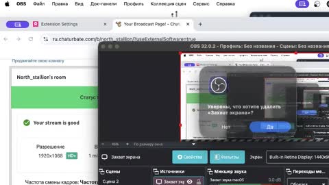 North stallions online show from 24, 11, 2025