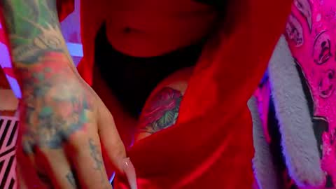 Nova kitty tx online show from 22, 3, 2026