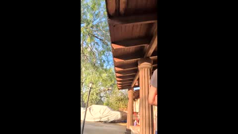 novasociaexperimenc online show from 22, 12, 2025