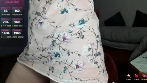 Nowelly online show from 1, 11, 2025