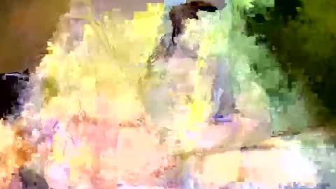 disonasty33 online show from 5, 10, 2025