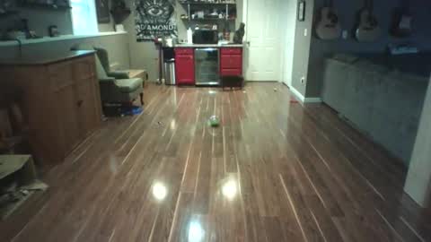 Snapshot of nudistguy194549 chatting on 15, 3, 2026 Nudistguy online show from 15, 3, 2026