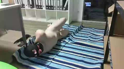 Snapshot of numlove chatting on 18, 2, 2025 Slave for Mistress and Master online show from 18, 2, 2025