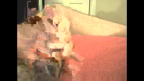 Snapshot of odinsslave chatting on 28, 2, 2026 odinswarrior online show from 28, 2, 2026