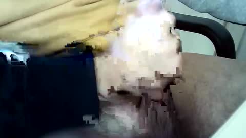 officersex y online show from 23, 11, 2025