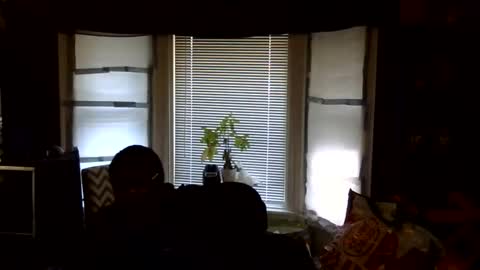 Snapshot of oflores77 chatting on 16, 2, 2026 oscar flores online show from 16, 2, 2026