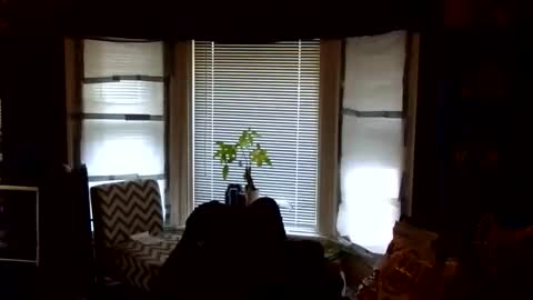 Snapshot of oflores77 chatting on 24, 2, 2026 oscar flores online show from 24, 2, 2026