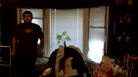 Snapshot of oflores77 chatting on 1, 3, 2026 oscar flores online show from 1, 3, 2026