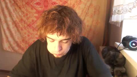 Felix online show from 6, 11, 2025