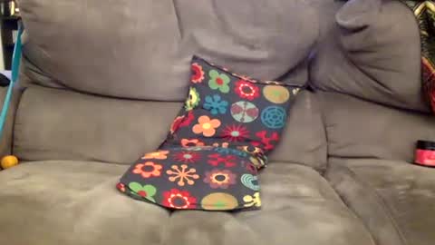 oggs48 online show from 15, 11, 2025