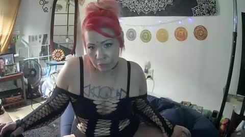 ohighohcpl online show from 12, 4, 2026