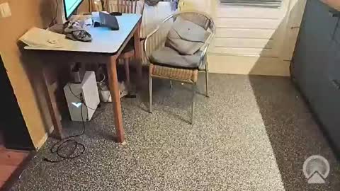 Snapshot of oldersagger chatting on 5, 11, 2025 oldersagger online show from 5, 11, 2025