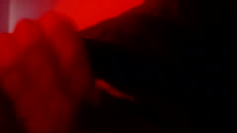 oliveoil67 online show from 8, 2, 2026