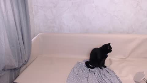 Olivia online show from 5, 10, 2025