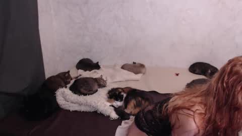 Olivia online show from 13, 1, 2026