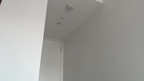 Olivia Brookes online show from 26, 10, 2025