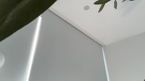 Olivia Brookes online show from 30, 11, 2025