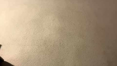 amy 3 online show from 28, 9, 2025