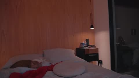 Ariel online show from 27, 12, 2024