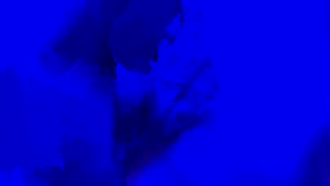 onurkneespls online show from 28, 9, 2025