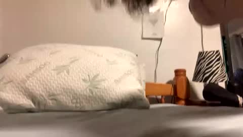 ozzy727 online show from 23, 2, 2026