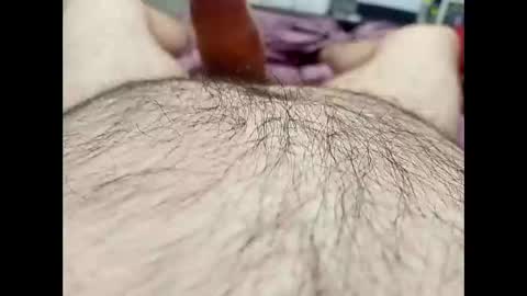 pablobear504 online show from 19, 3, 2026