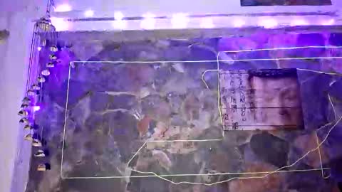 pablouyu online show from 1, 1, 2025