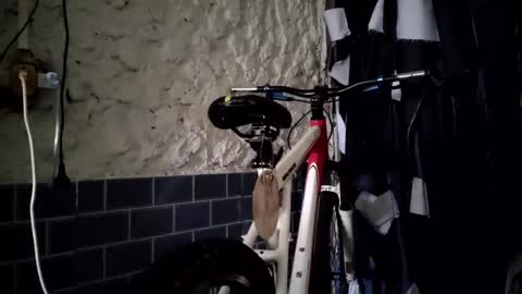 pablouyu online show from 1, 1, 2025