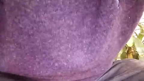 Snapshot of pacoalba45 chatting on 2, 1, 2025 pacoalba45 online show from 2, 1, 2025