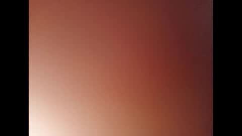   PALA online show from 11, 1, 2025