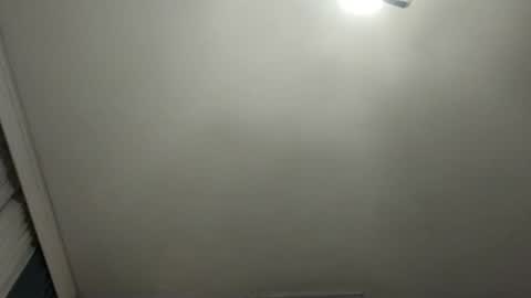   PALA online show from 27, 1, 2025