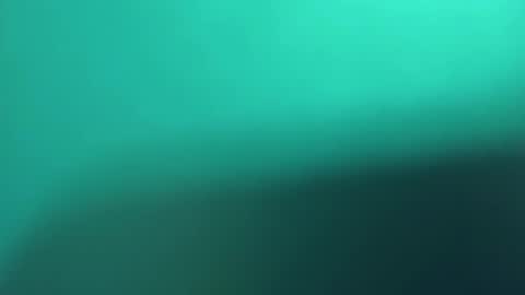   PALA online show from 8, 3, 2025