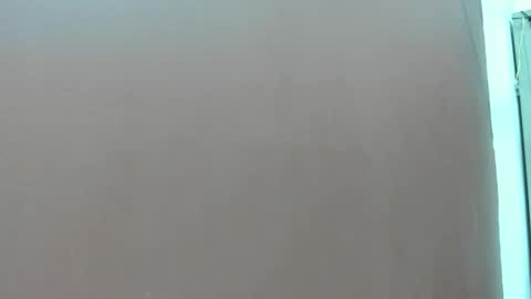  P A M  online show from 15, 2, 2026