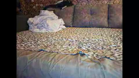 Snapshot of pancamo1000 chatting on 18, 1, 2026 Pancamo online show from 18, 1, 2026