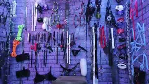 PandoraNez online show from 12, 2, 2026