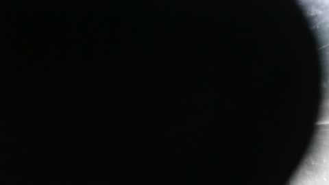 Snapshot of pantyhoselover_74 chatting on 8, 10, 2025 pantyhoselover_74 online show from 8, 10, 2025