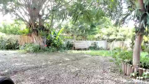 paoguerrax354 online show from 19, 10, 2025