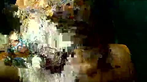 PAOLLA 23CM online show from 24, 3, 2026