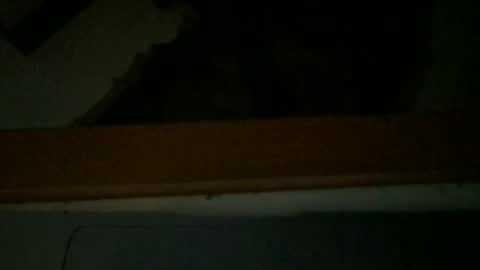 Snapshot of paolo365 chatting on 20, 12, 2025 LaRocca online show from 20, 12, 2025