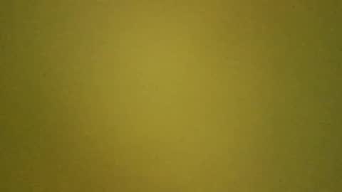 Snapshot of paolo365 chatting on 14, 3, 2026 LaRocca online show from 14, 3, 2026