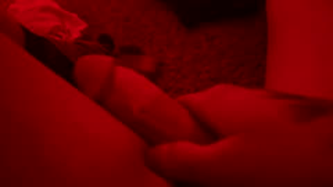 papi121221 online show from 8, 2, 2026