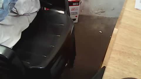 pareja201722 online show from 14, 12, 2024