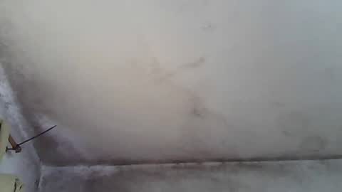 pareja201722 online show from 31, 12, 2024